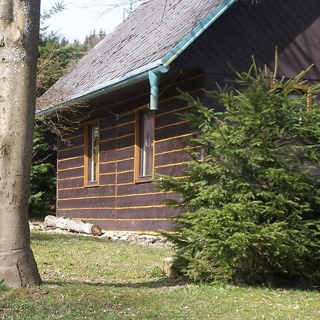 Chata Dvorecna Villa Loučovice Eksteriør billede