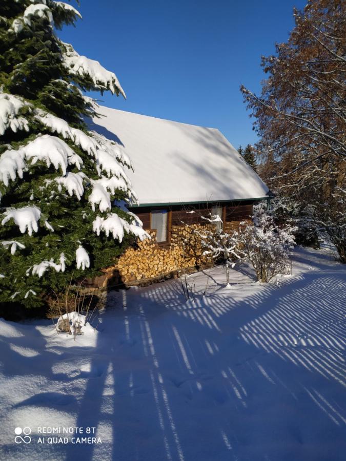 Chata Dvorecna Villa Loučovice Eksteriør billede