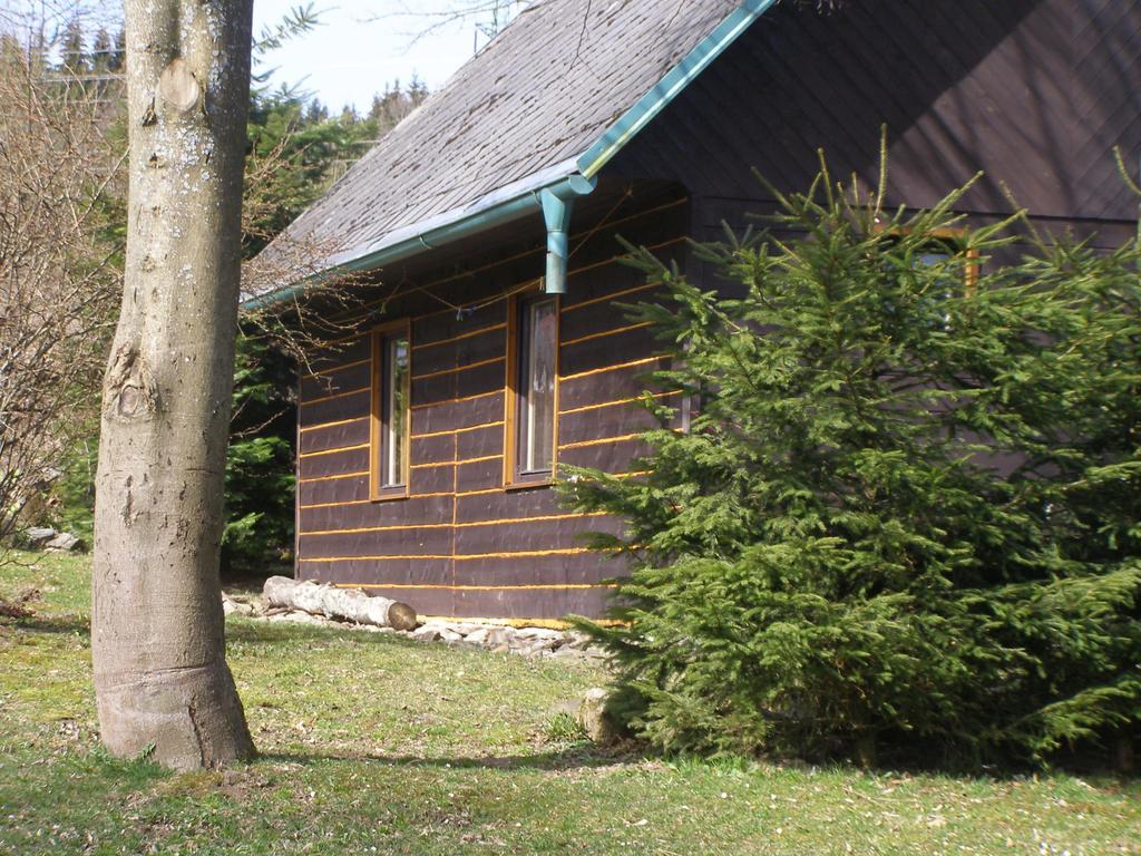 Chata Dvorecna Villa Loučovice Eksteriør billede