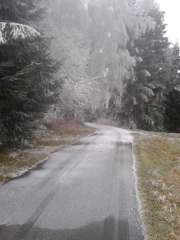 Chata Dvorecna Villa Loučovice Eksteriør billede