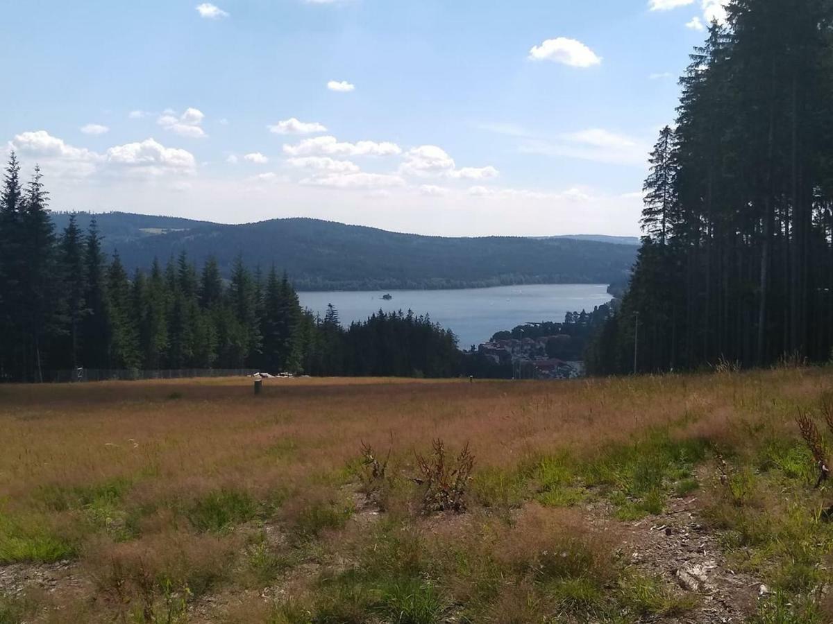Chata Dvorecna Villa Loučovice Eksteriør billede